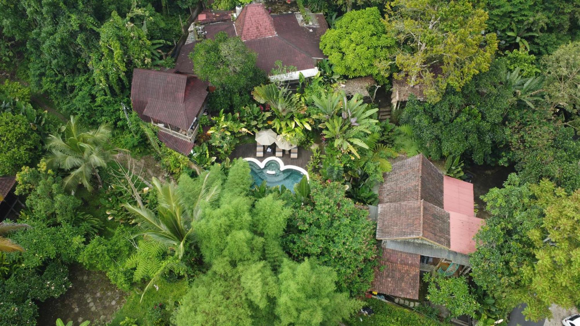 Umah Tis Sebatu Villa Tegallalang  Eksteriør bilde