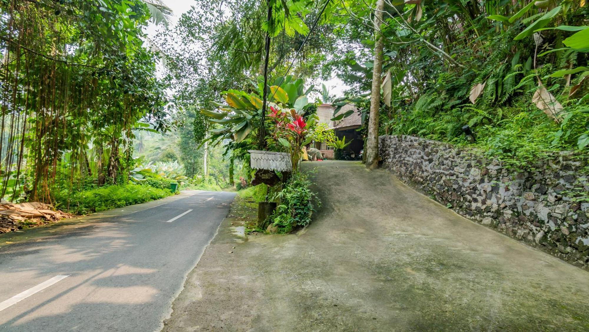 Umah Tis Sebatu Villa Tegallalang  Eksteriør bilde